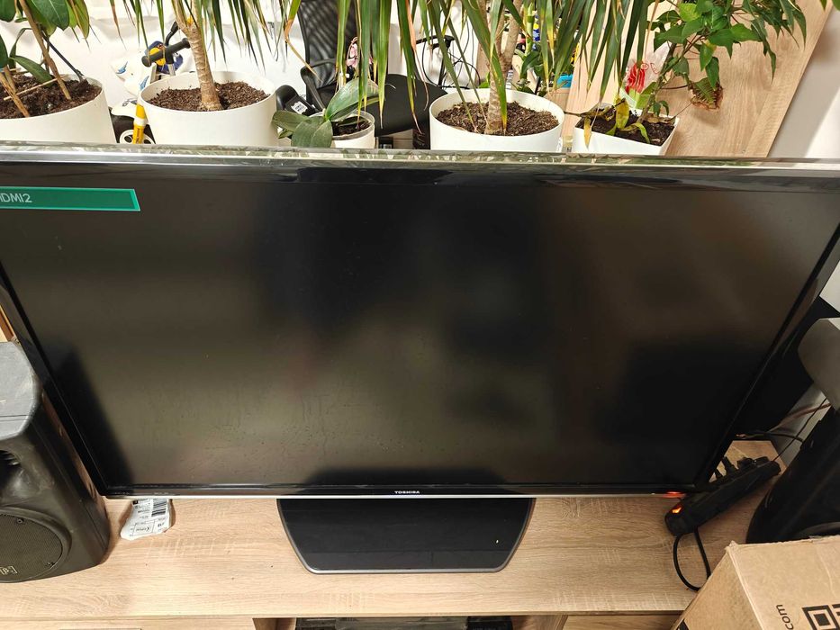 Telewizor Toshiba 52ZF355D - paski na matrycy - czytaj opis