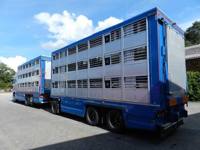 Do zwierzat VOLVO FH 540 01/2020 zab i przy GUITTON 2/3 poz