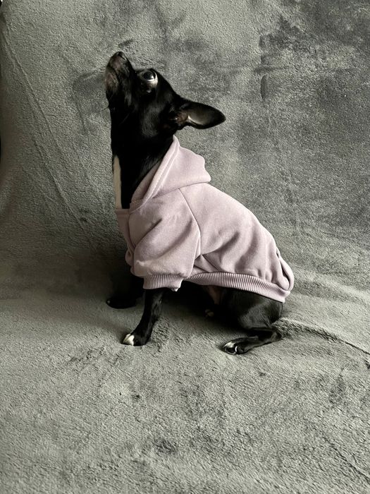 Одяг/худі для маленьких собак