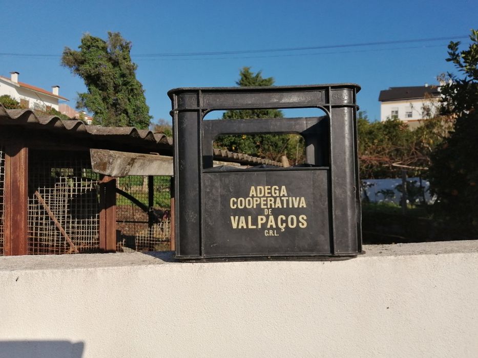 Grades de cerveja conjunto