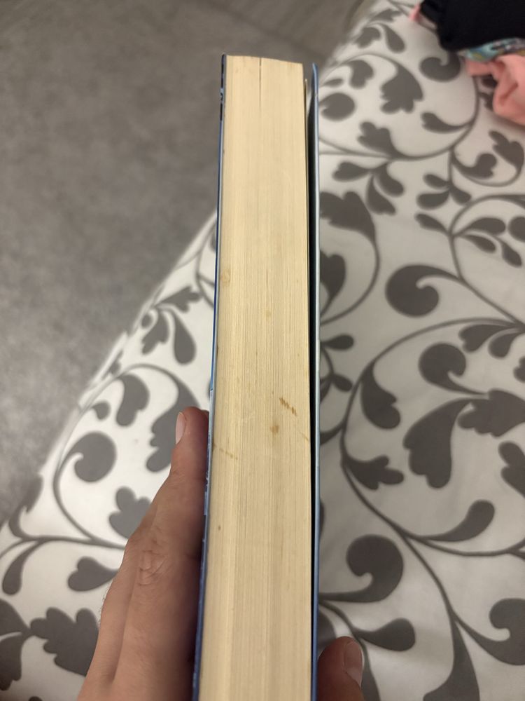 Livro: O mago- aprendiz