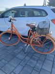 Rower holenderka 24