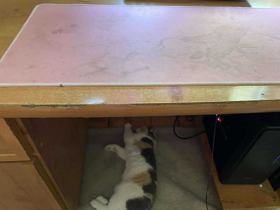 Zestaw mebli, komoda, szafa, biurko, 2 szafki wiszące