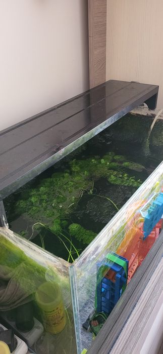 Akwarium caly zestaw