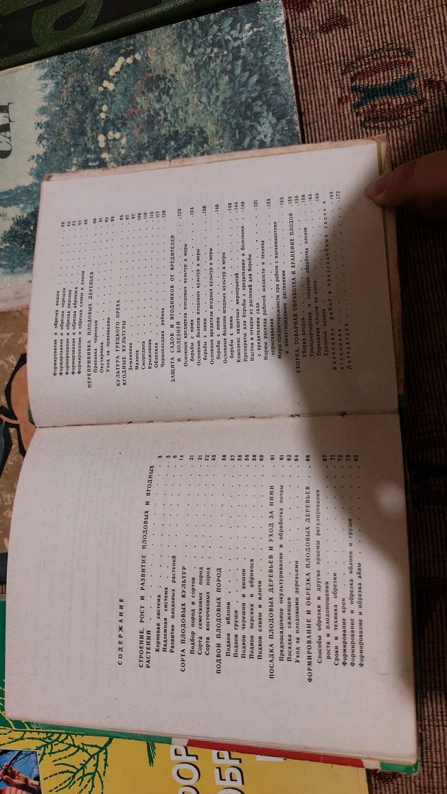 Садівництво. Садоводство. Теплицы, теплиці. Сад, огород. Плоди, ягоди.