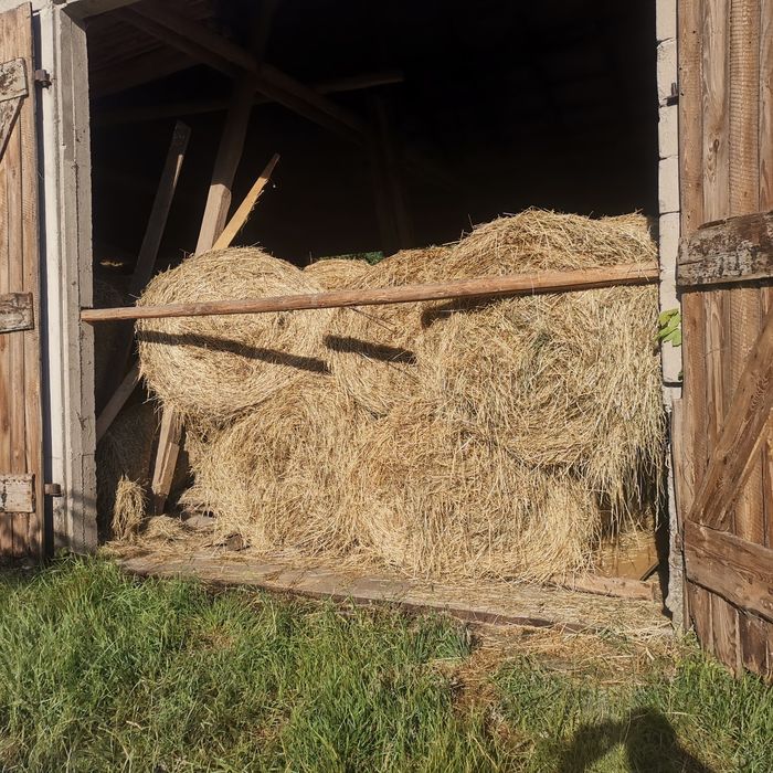 Siano, słoma bele 120/120 Transport, suche