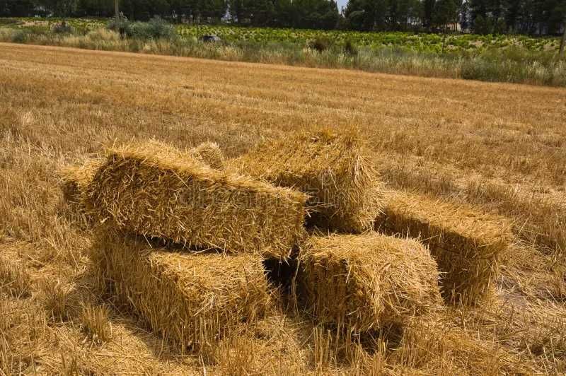 Солома ,Сено ,с БЕСПЛАТНОЙ доставкой