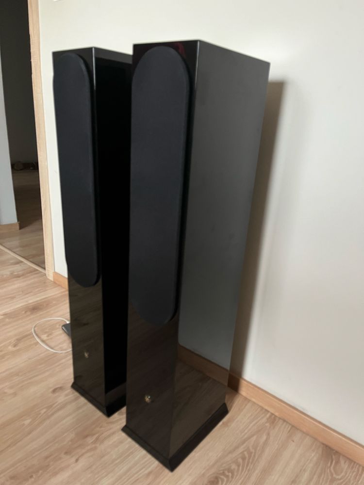 Audiofilskie DLS r55