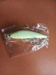 Amostra de pesca para noite
