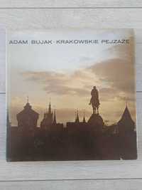 Krakowskie pejzaże - Adam Bujak