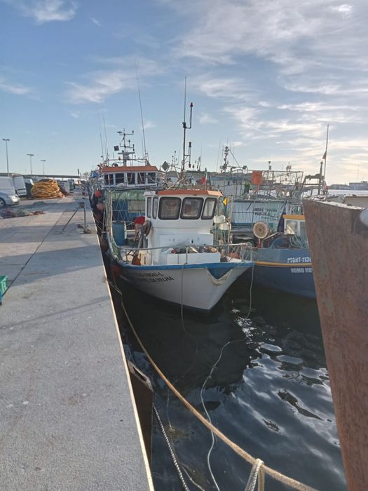 Barco de Pesca Profissional