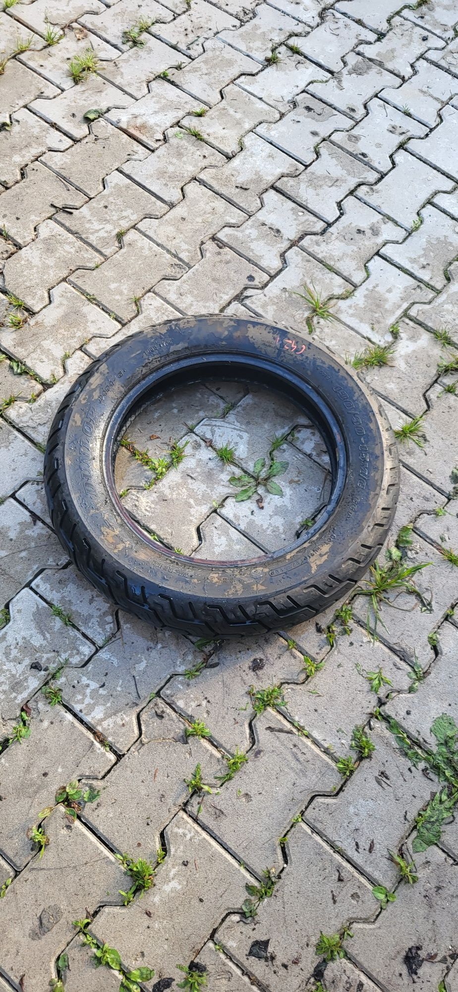 Opona nr c421  dunlop c421  130/90-15