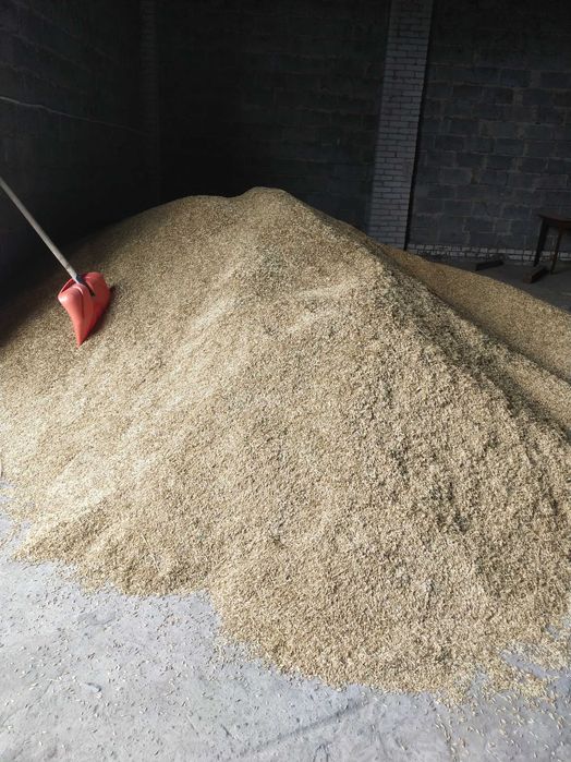 Owies tegorocznych 10 ton