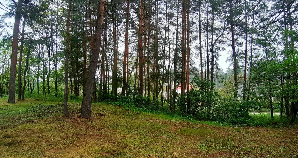 Мрія Лісне Явір Земля 10сот в лісі на озерах під будівництво Київ12км