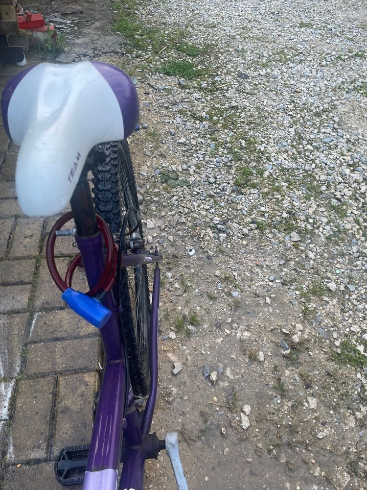 Bicicleta TEAM VENDO