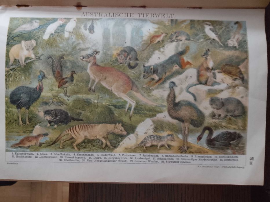 Piękne litografie
