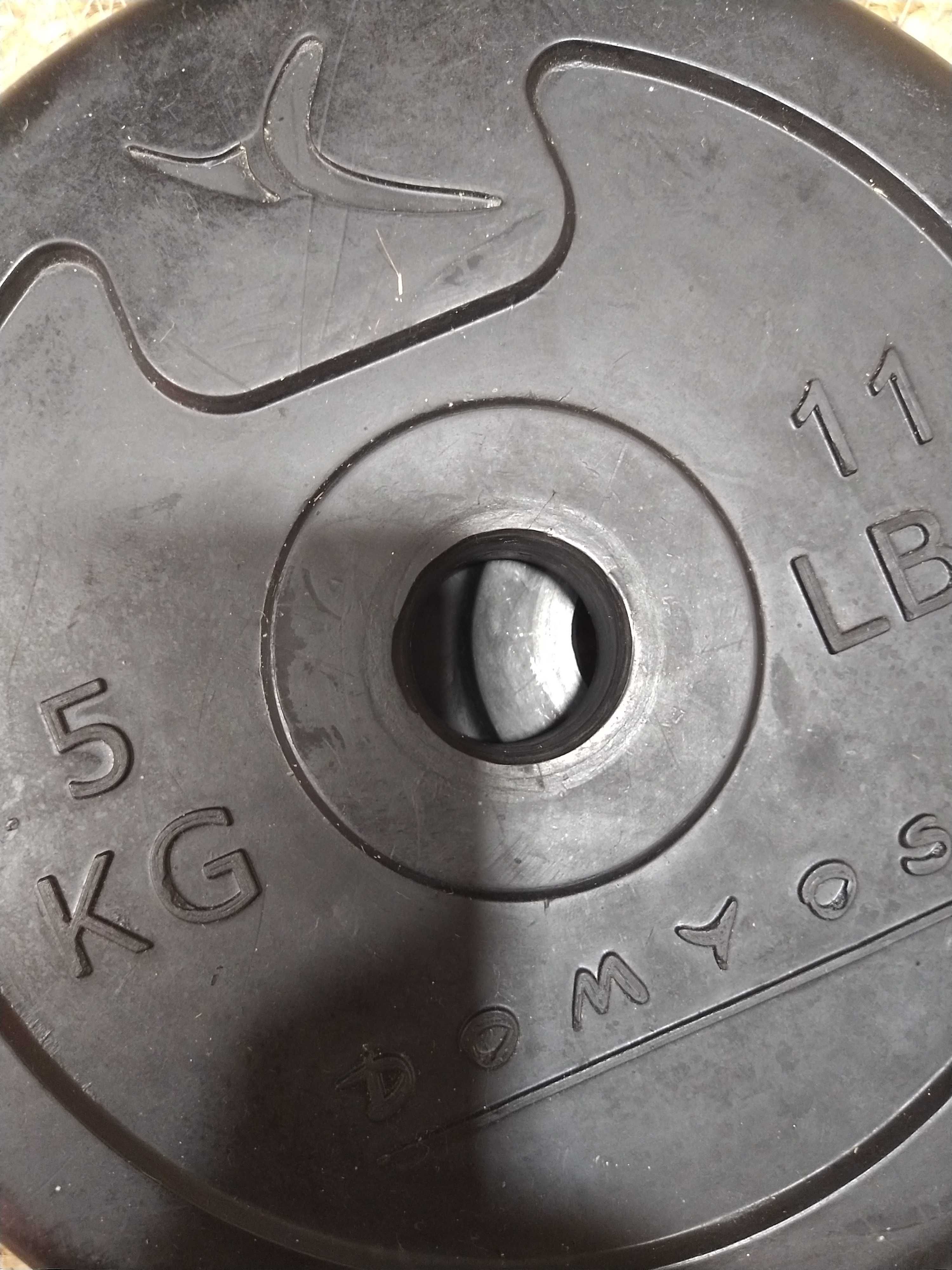 Conjunto: Barra de treino curl com discos de pesos variados