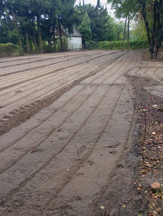 Wycinka drzew,karczowanie działek,rębak,zwyżka,drewno opałowe rozbiórk