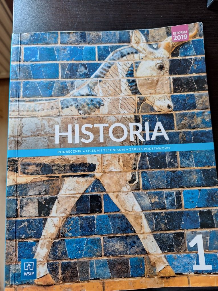 Historia 1 WSiP podręcznik dla klasy 1
