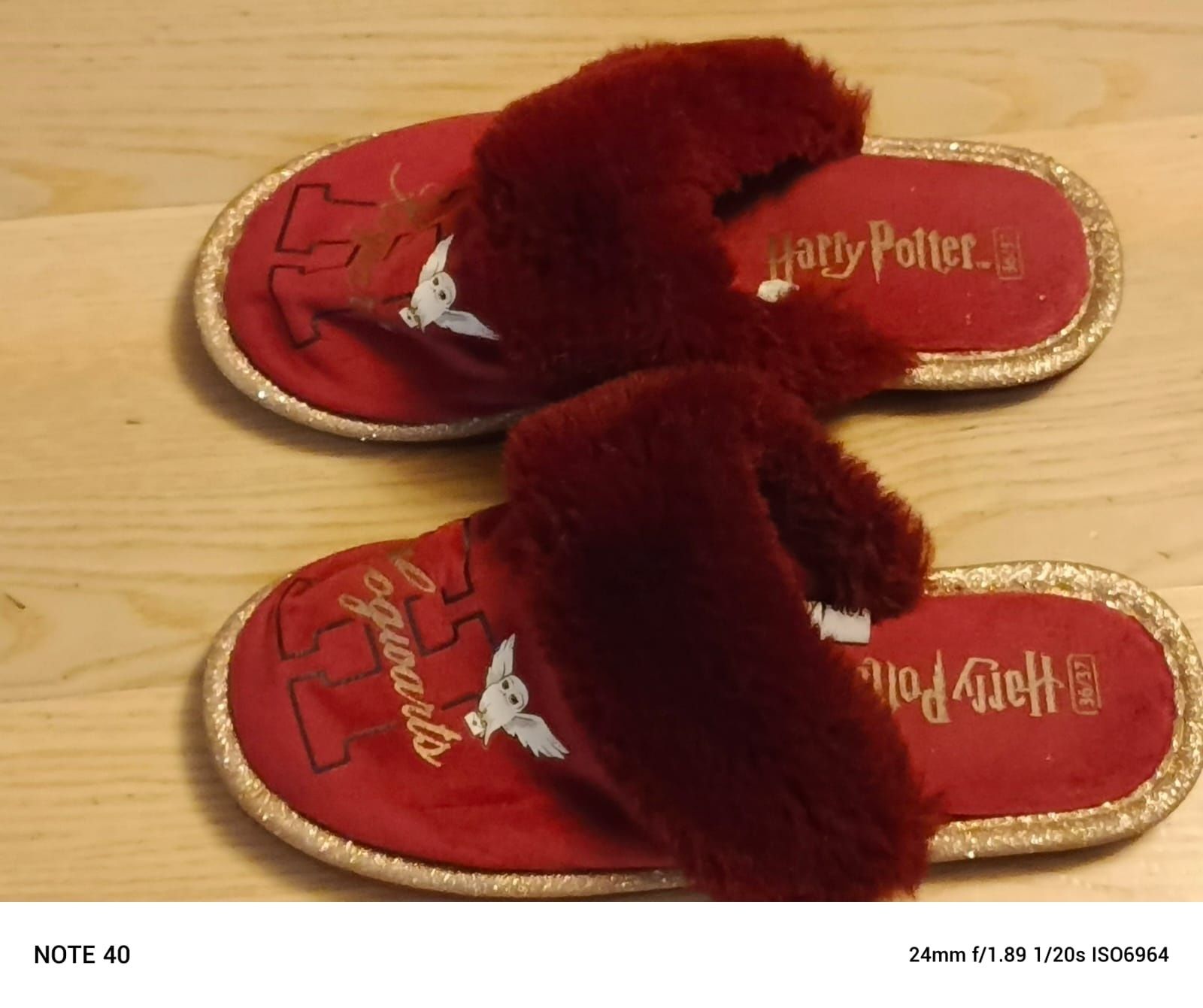 Kapcie Harry Potter