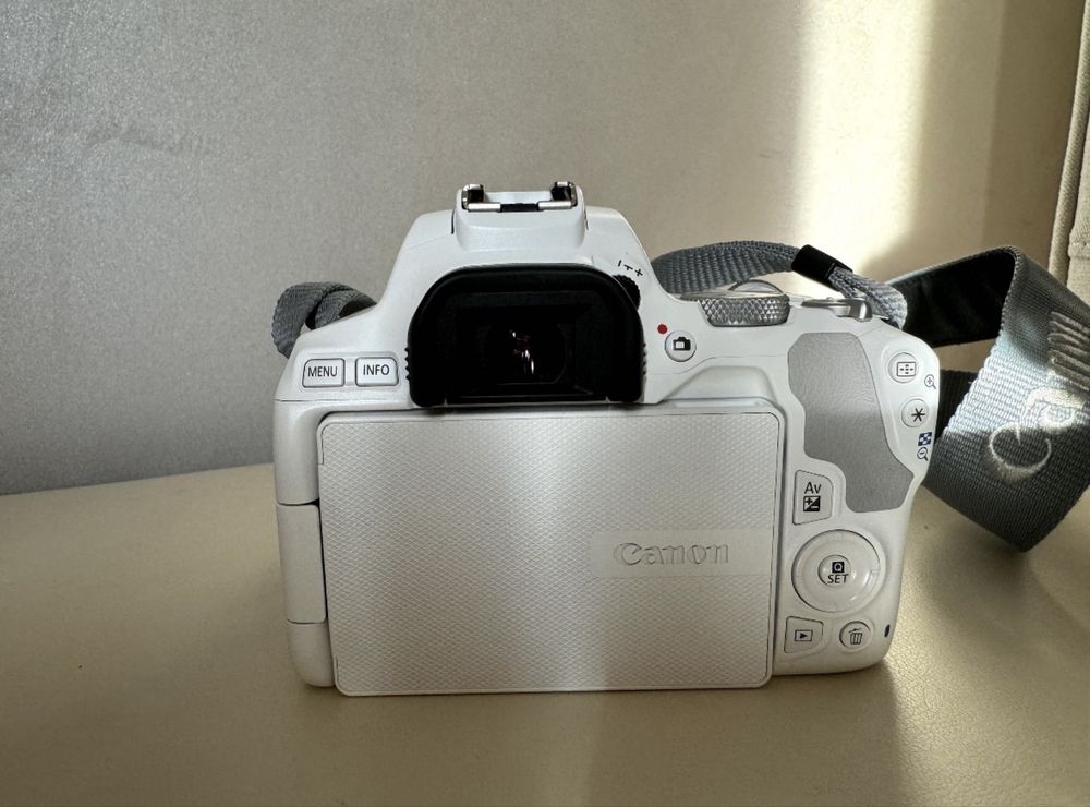 Canon EOS 250D +EF-S 18-55mm f/4-5.6 IS STM +EF 50mm f/1.8 STM