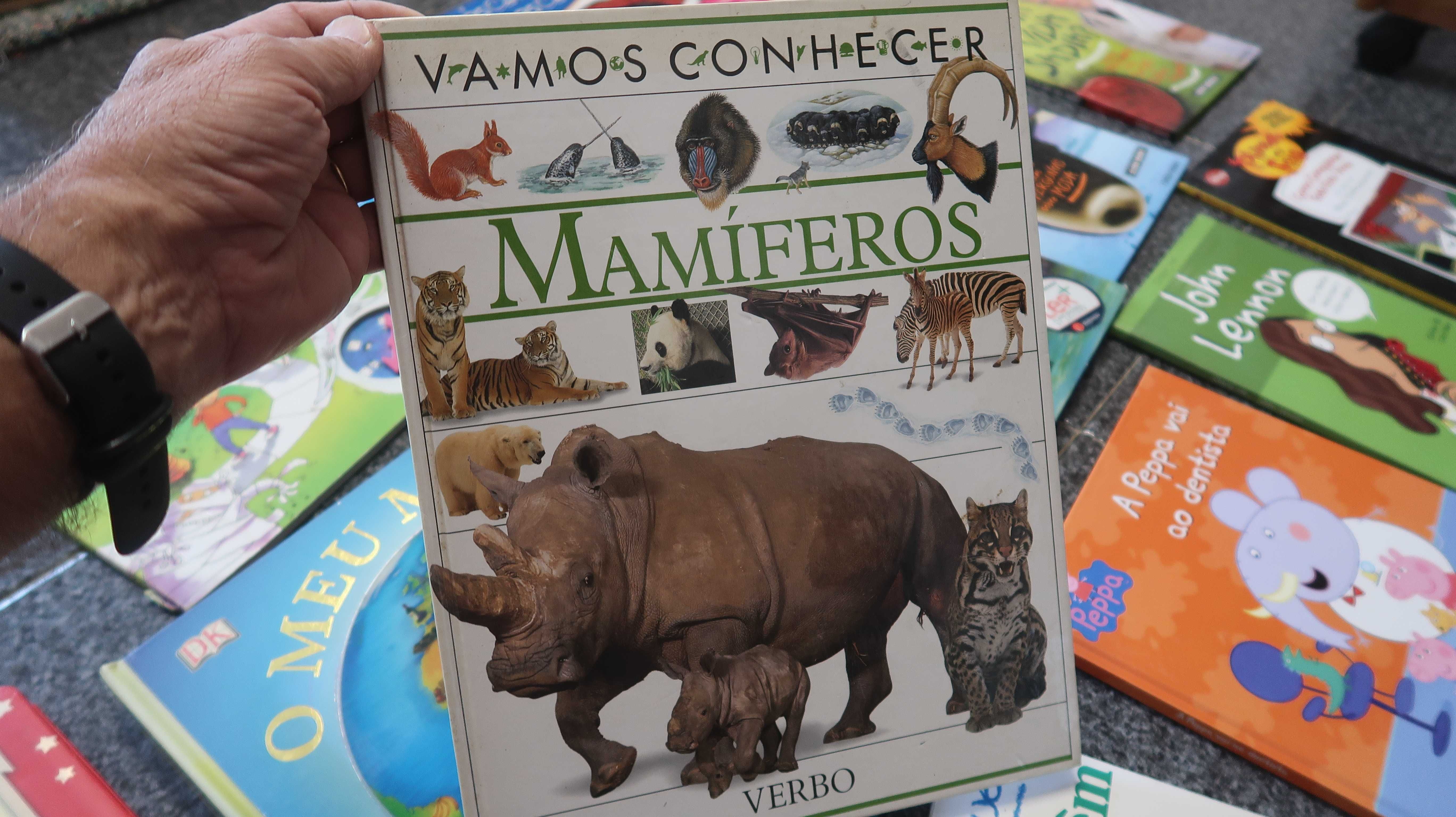 Conjunto 15 livros juvenis