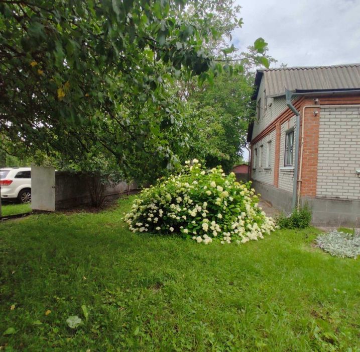 Продаж Будинку (97м2 +25 сот) Вінницькі Стави, Гребінки, Біла Церква