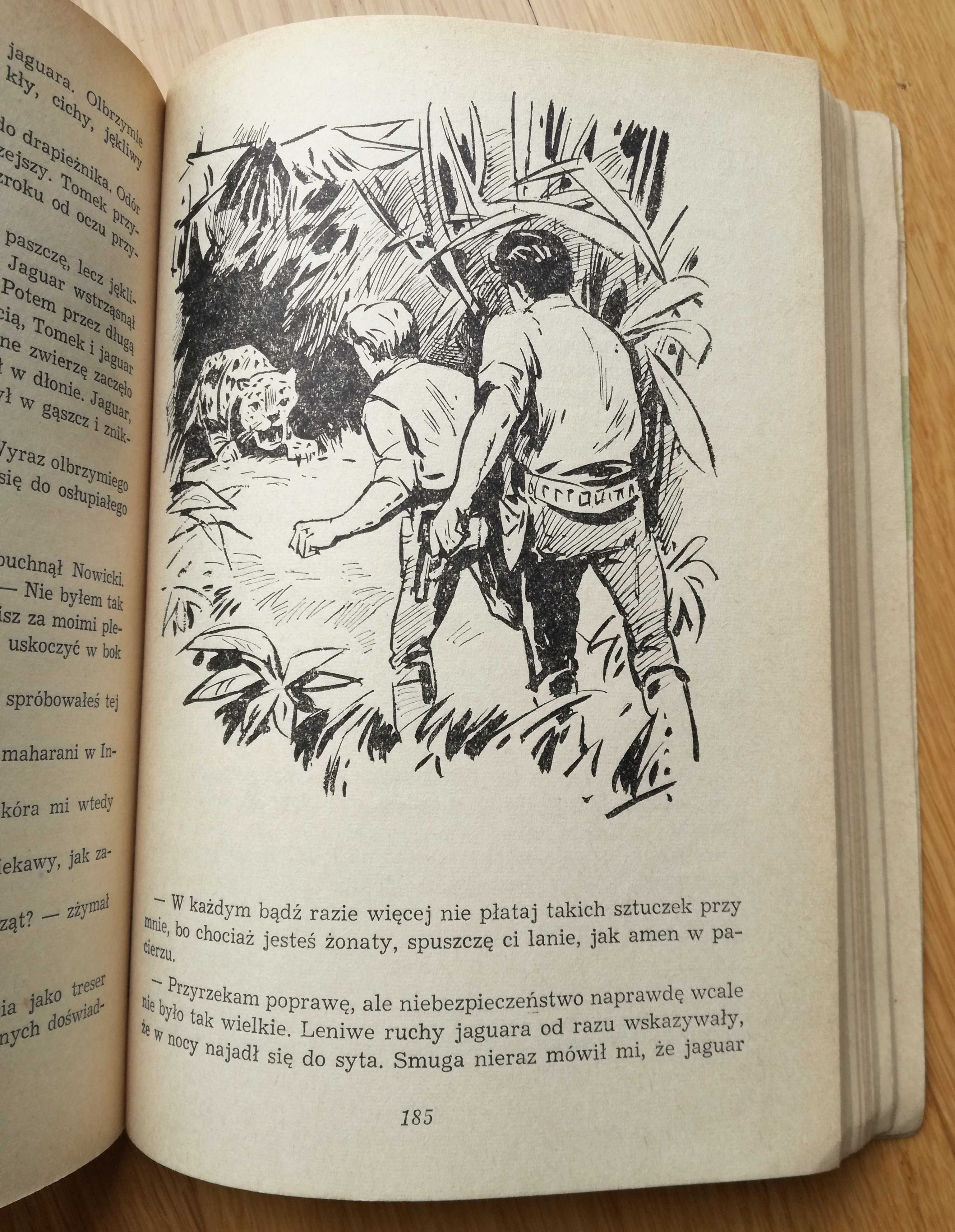 Tomek u źródeł Amazonki – Alfred Szklarski