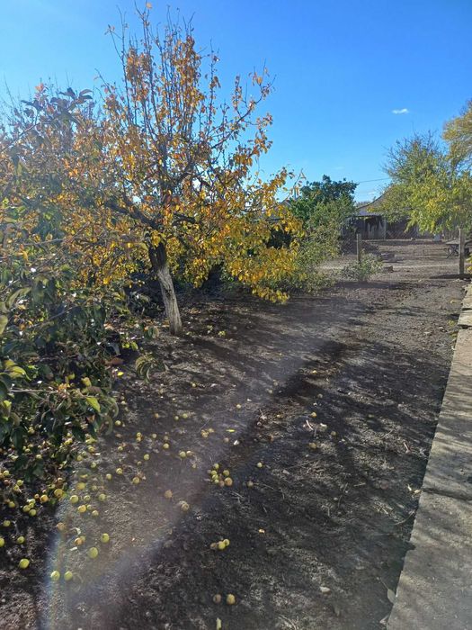 Продам дом в пгт Доброслав