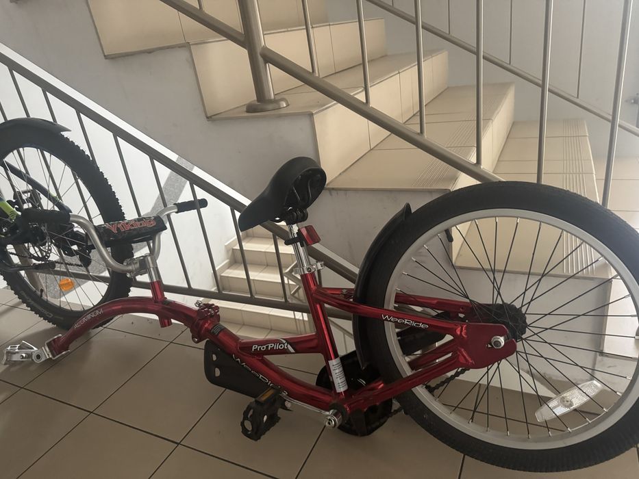 Przyczepka rowerowa Weeride