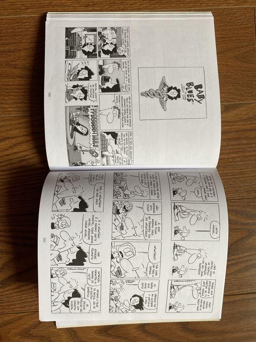 Livro "Agradecia só ter de gritar uma vez"