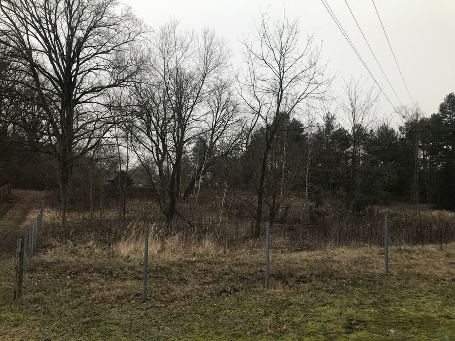Działka 3180m2 przy lesie.