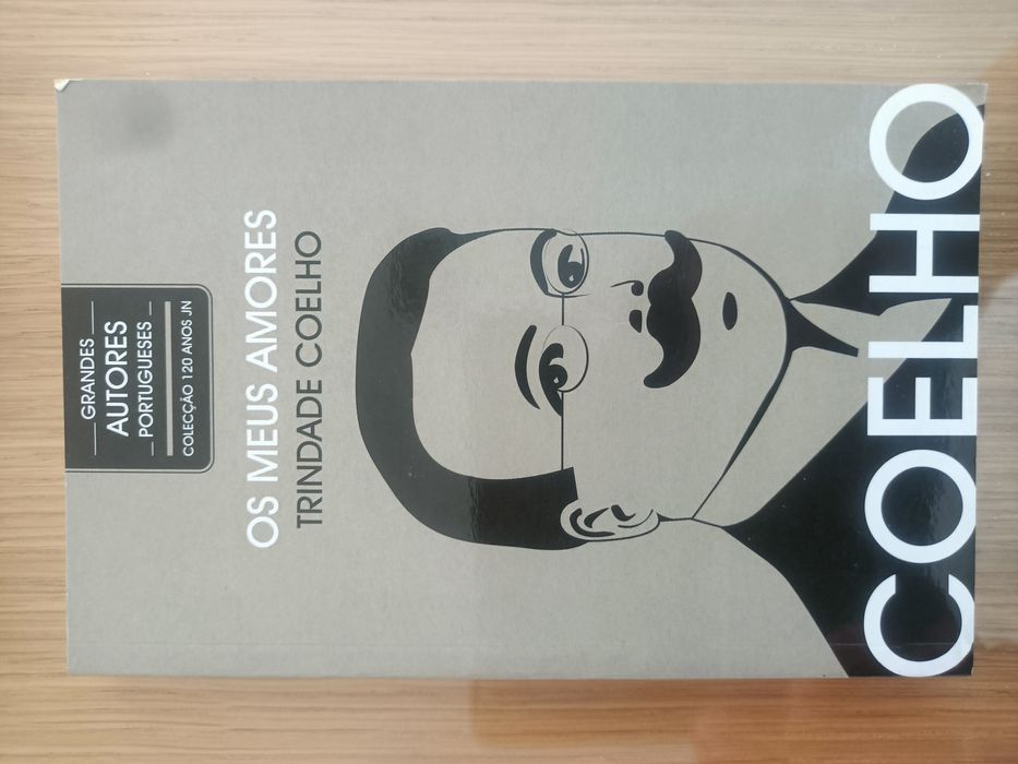 Vendo livro Os meus amores