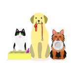 Pet Sitter // Dog Walker
