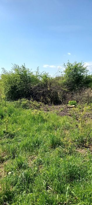 Mulczer, Karczowanie zarośli, czyszczenie działek WYCENA GRATIS !!!