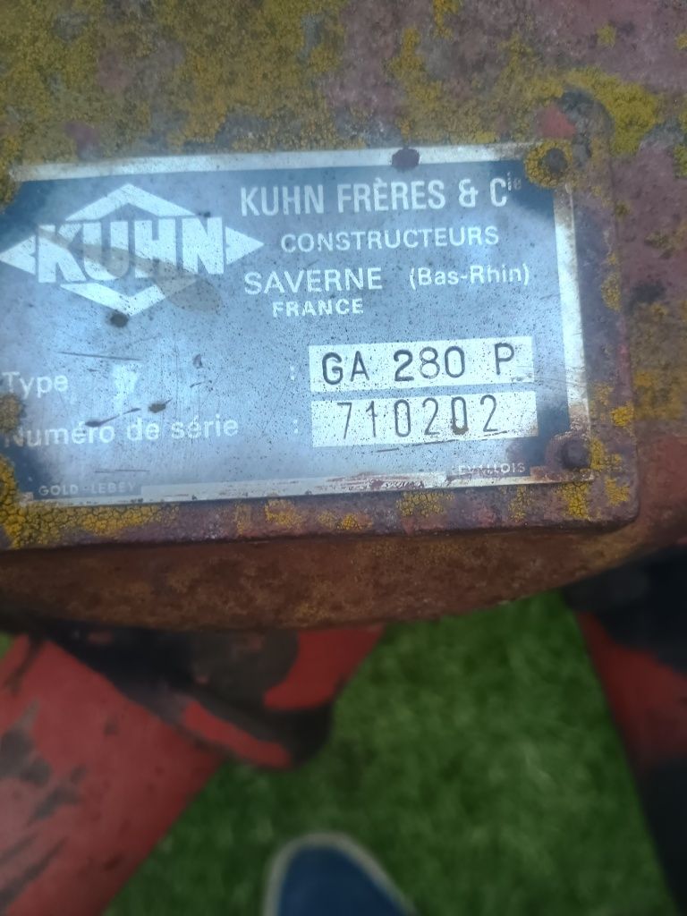 Klacz zimnokrwista