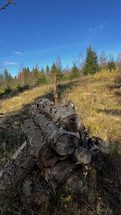 Продаж ділянки БЕЗ КОМІСІЇ! Славсько, Волосянка, GORO