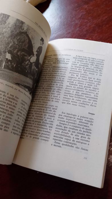 O Exterior do Cavalo - J. Miranda do Vale