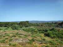 Fantástica Quinta com 3 Hectares