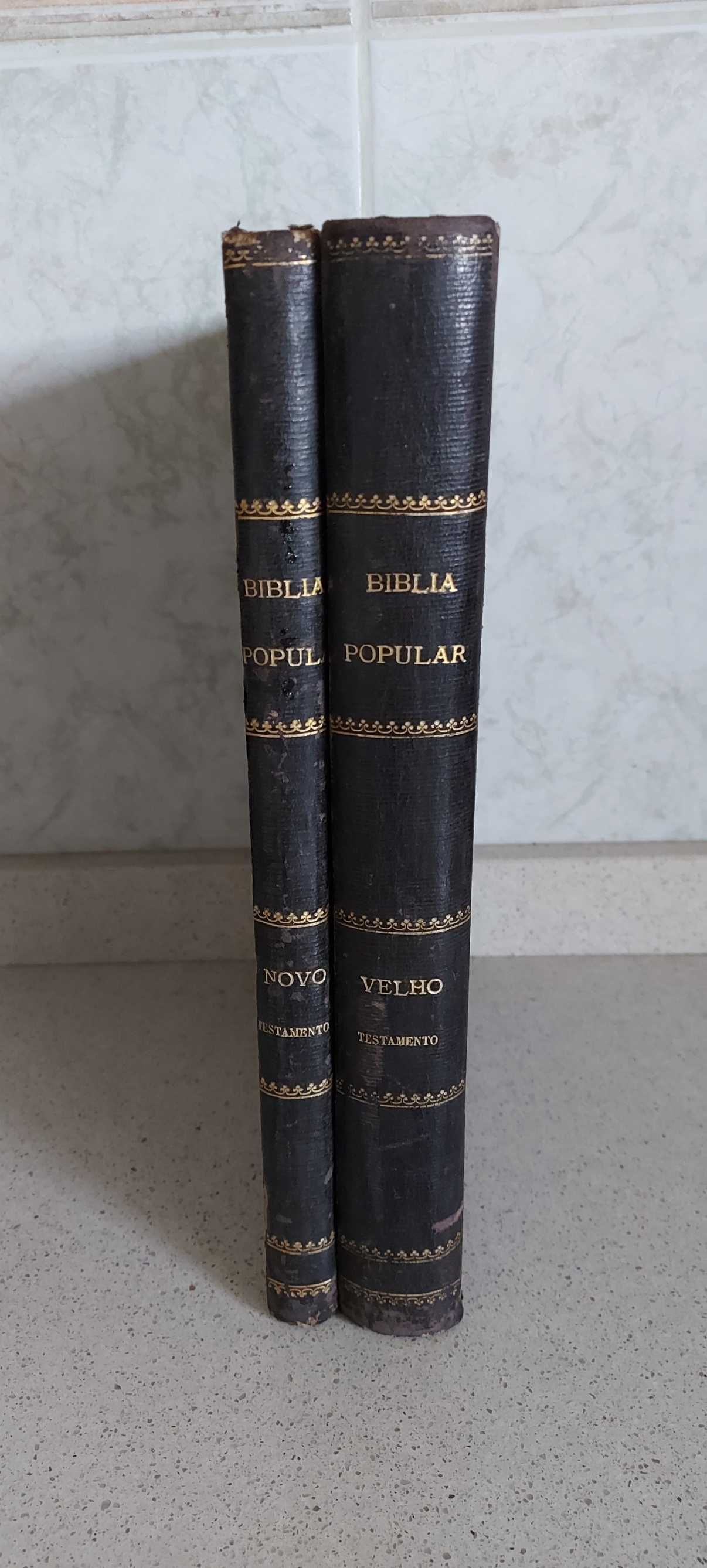 Livro antigo de 1882 (I e II volume)