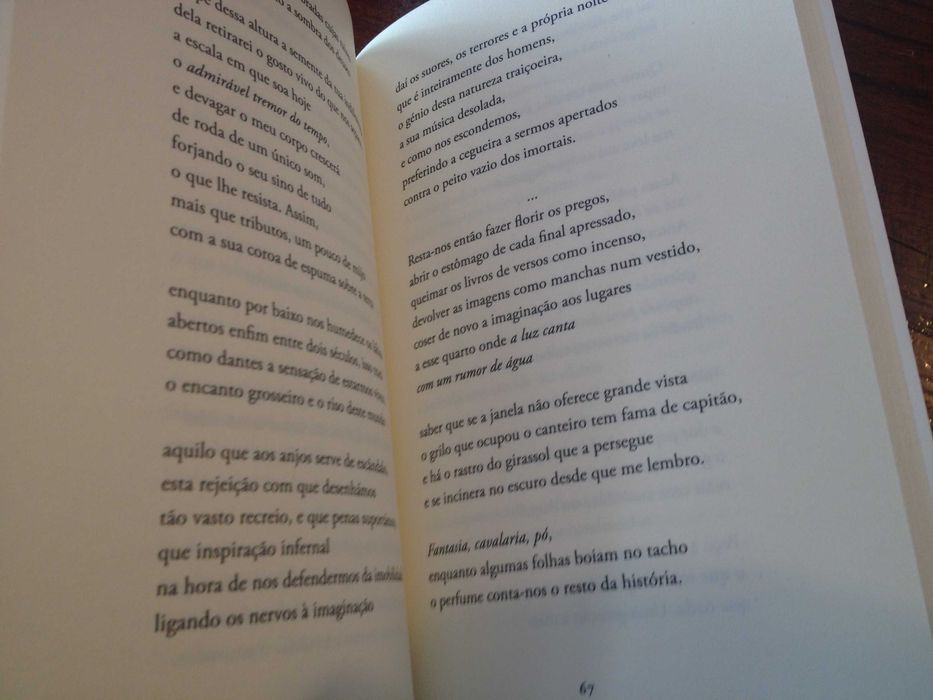 Diogo Vaz Pinto - O cerco dos animais que juram