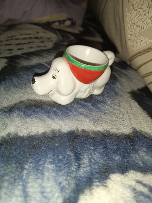 Пашотниця Коростень