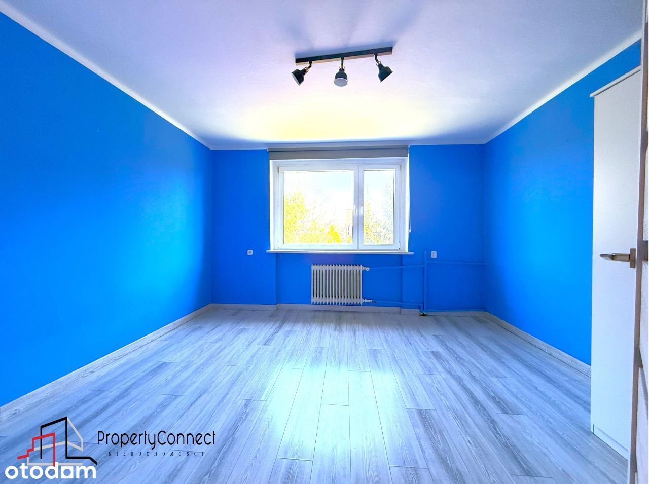 Dom/działka 3200 m2 w pasie granicznym z Czechami