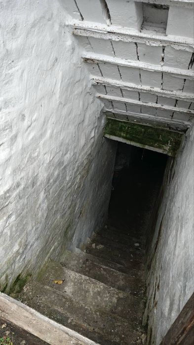 Купуй та переїжджай! Будинок з ремонтом на 16 сотках в м.Буча