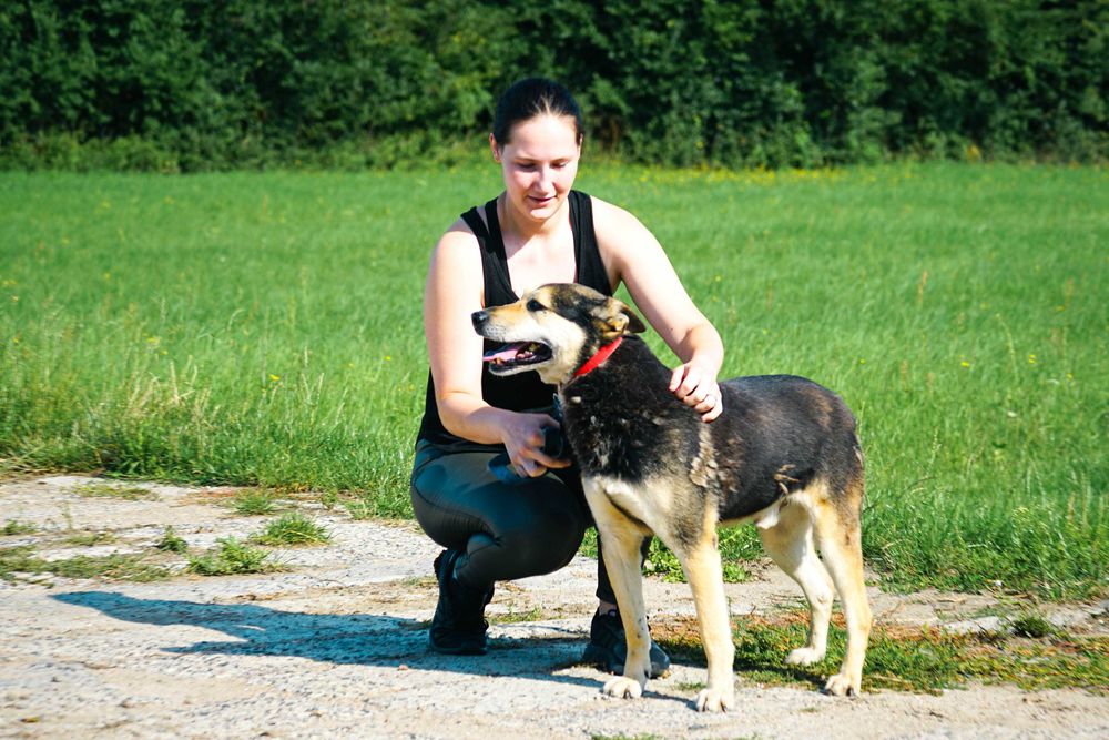 MIMEK - świetny psiak szuka domu