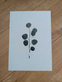 Plakat minimalistyczny A4 kwiat gałązka skandynawski