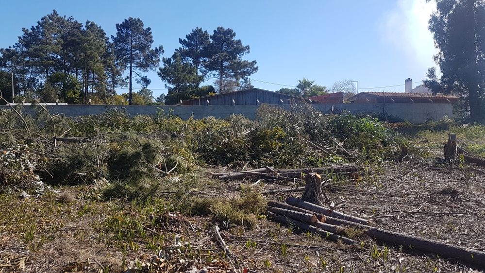 Limpezas de terrenos, vedações e outras prestações de serviço