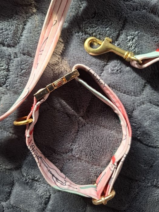 Obróżka i smyczka na małego pieska