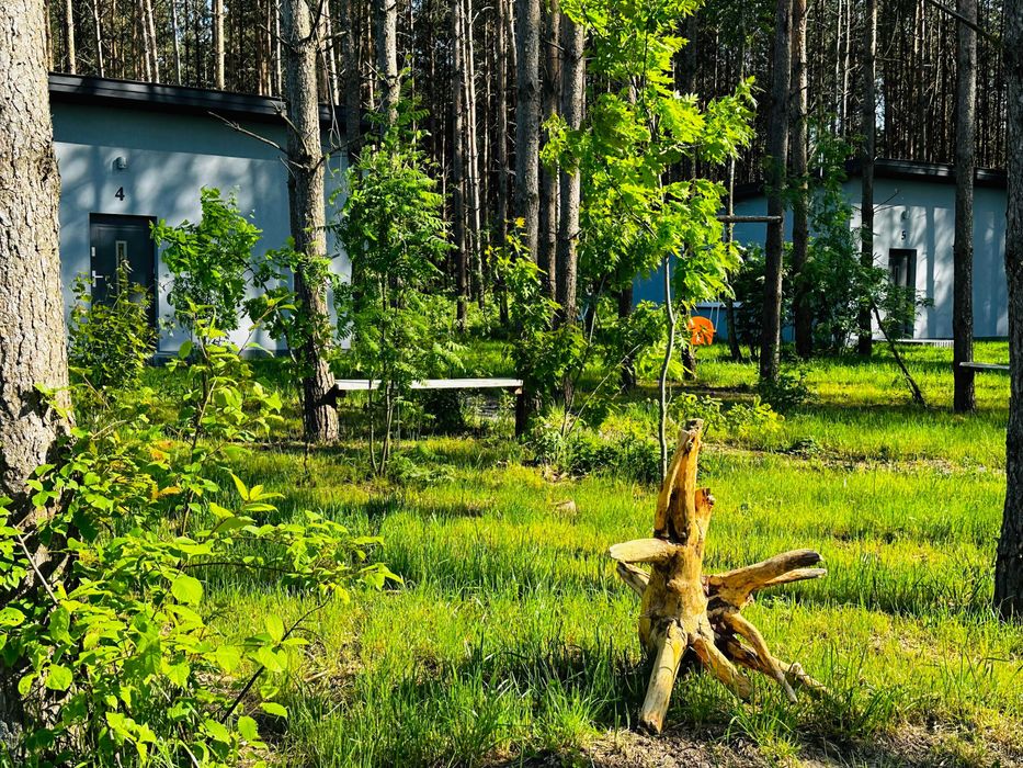 4Rest- Domki Całoroczne na wynajem SAUNA