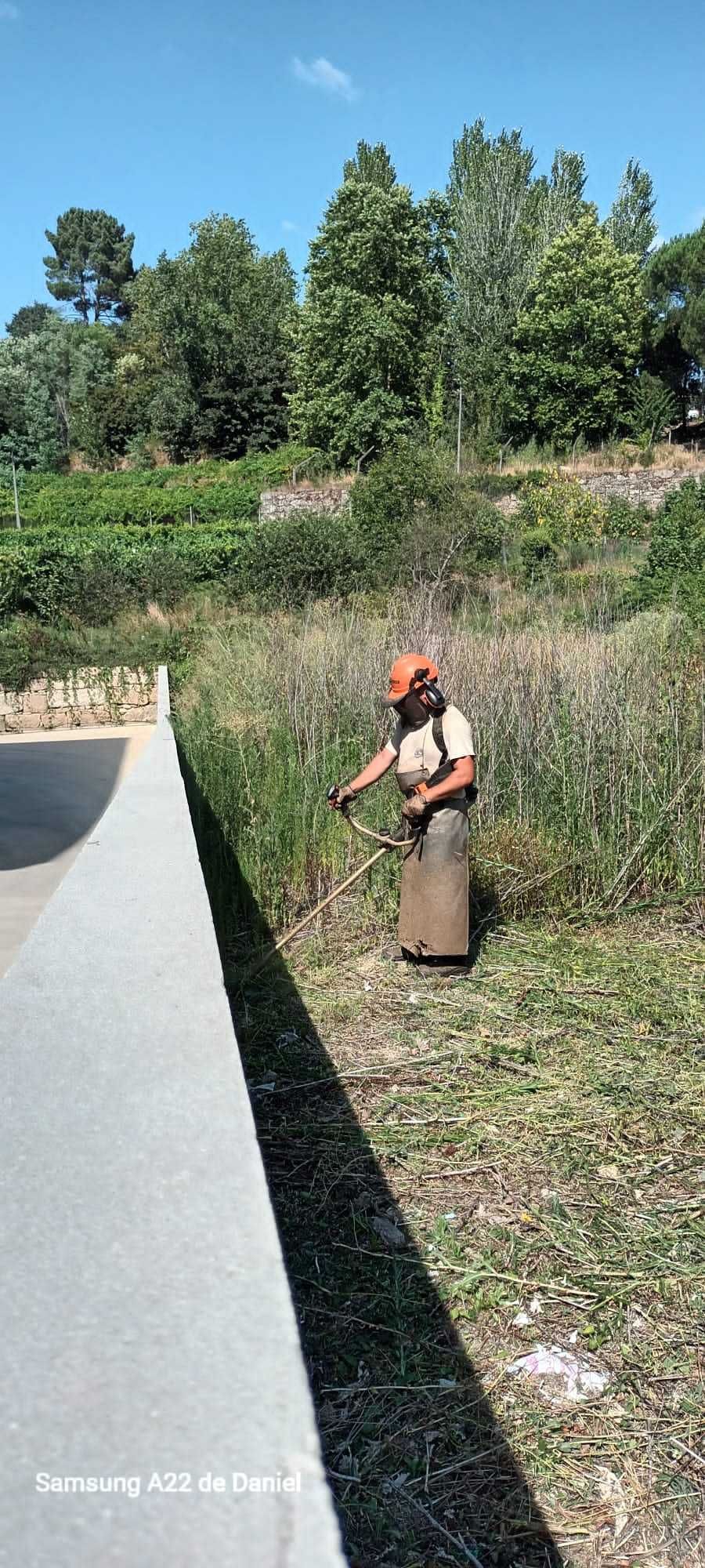 Limpeza de Terrenos